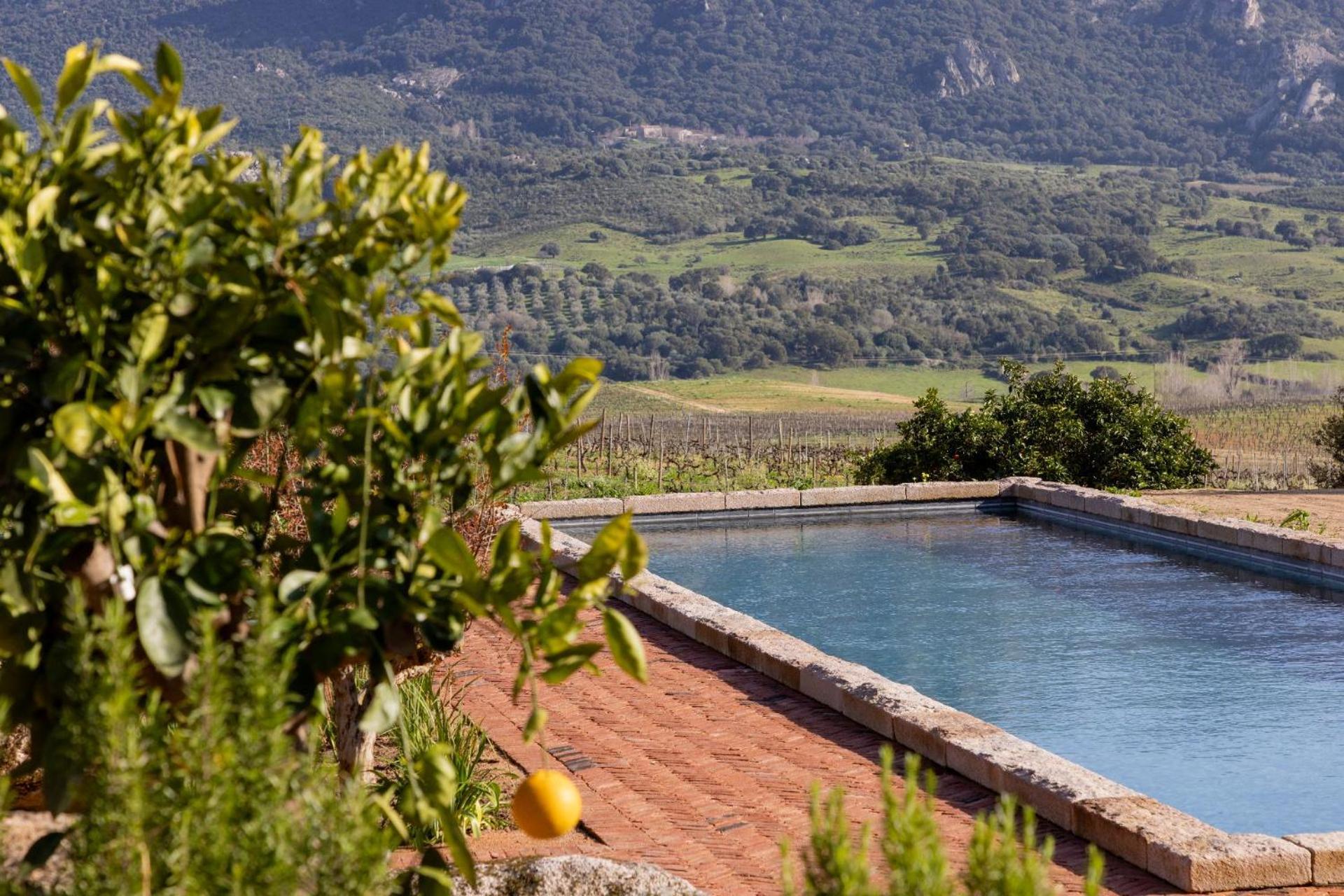 Le Hameau De Saparale Sartène Екстериор снимка